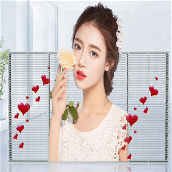 Transparent LED Screen