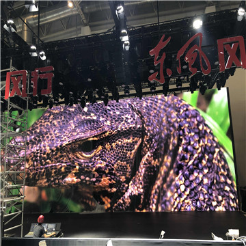 上海东风-闵安强.jpg
